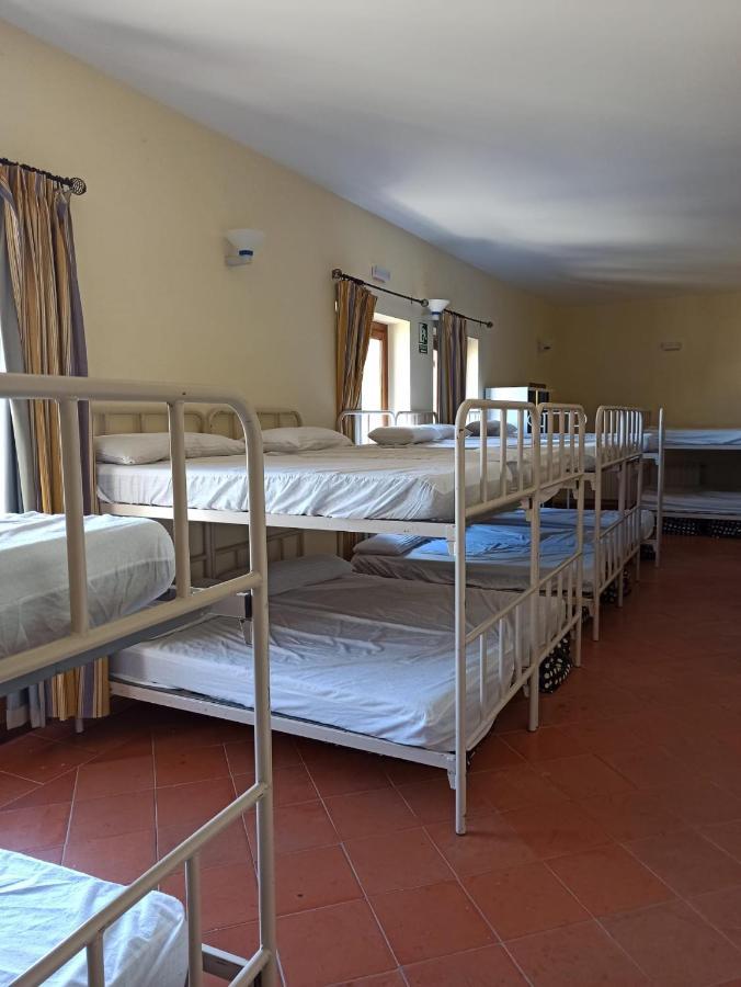 Albergue De Sos del Rey Católico מראה חיצוני תמונה